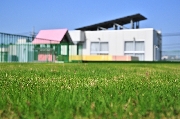 光明幼稚園一時預かり保育「ふたば組」のお知らせ♪